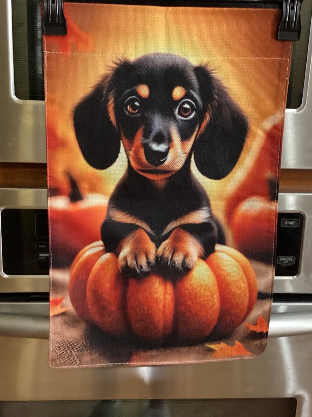NEW Dachshund Pumpkin Fal Garden Flag Double Sided